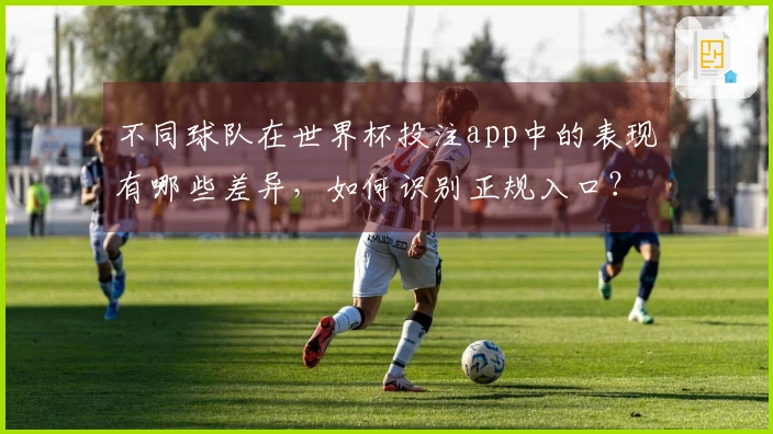不同球队在世界杯投注app中的表现有哪些差异，如何识别正规入口？