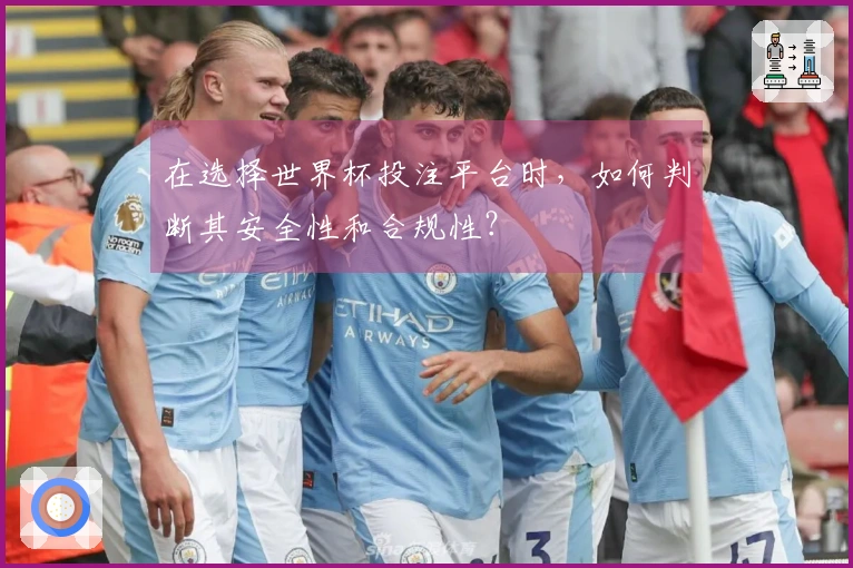 在选择世界杯投注平台时，如何判断其安全性和合规性？
