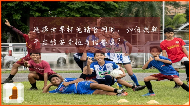 选择世界杯竞猜官网时，如何判断平台的安全性与信誉度？