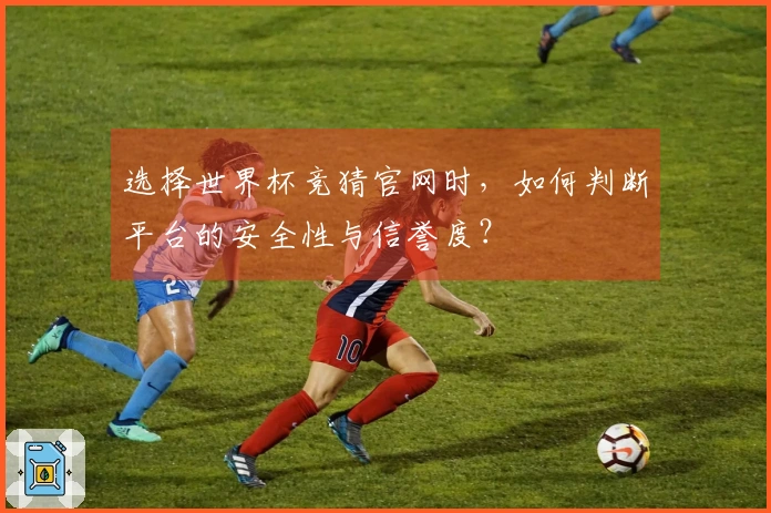 选择世界杯竞猜官网时，如何判断平台的安全性与信誉度？