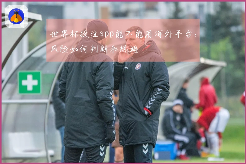 世界杯投注app能不能用海外平台，风险如何判断和规避
