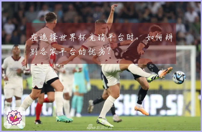 在选择世界杯竞猜平台时，如何辨别各家平台的优劣？