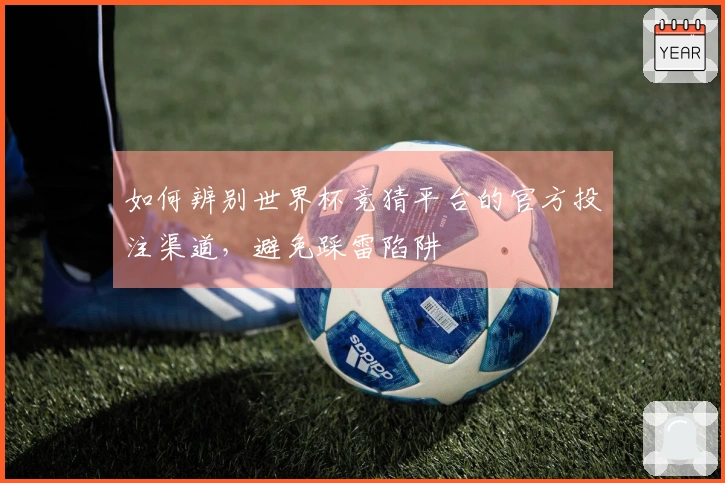 如何辨别世界杯竞猜平台的官方投注渠道,避免踩雷陷阱