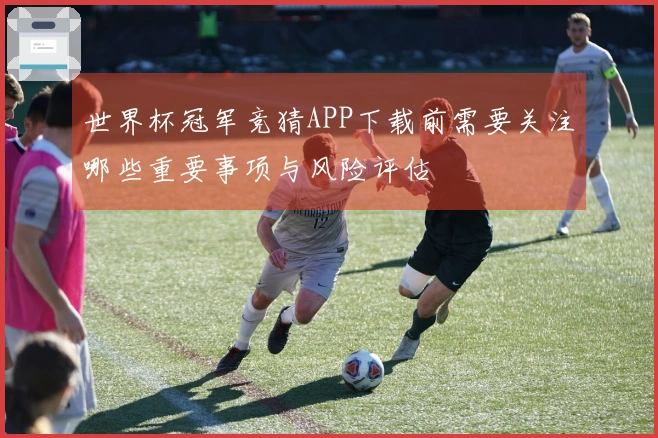 世界杯冠军竞猜APP下载前需要关注哪些重要事项与风险评估