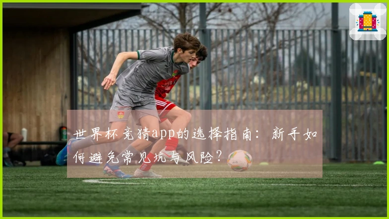 世界杯竞猜app的选择指南：新手如何避免常见坑与风险？