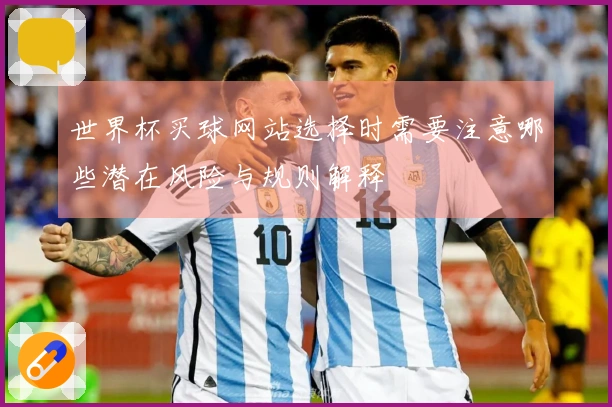 世界杯买球网站选择时需要注意哪些潜在风险与规则解释