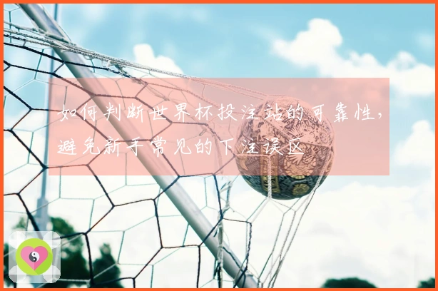 如何判断世界杯投注站的可靠性，避免新手常见的下注误区