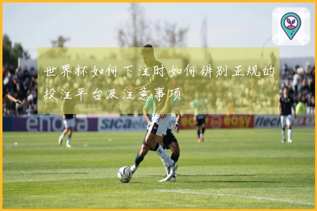 世界杯如何下注时如何辨别正规的投注平台及注意事项