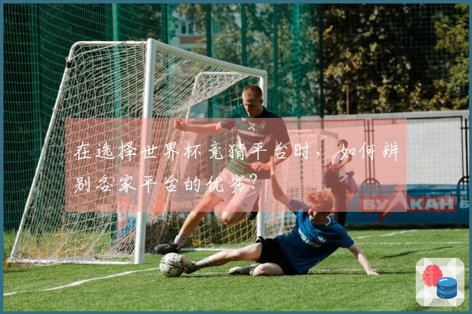 在选择世界杯竞猜平台时，如何辨别各家平台的优劣？