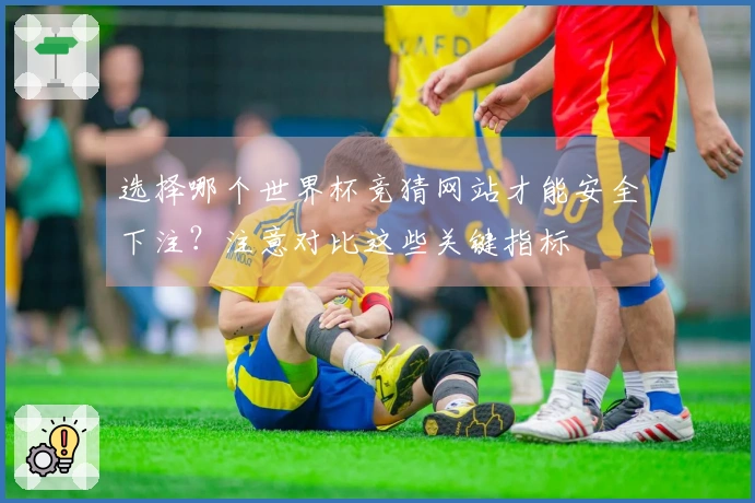 选择哪个世界杯竞猜网站才能安全下注？注意对比这些关键指标