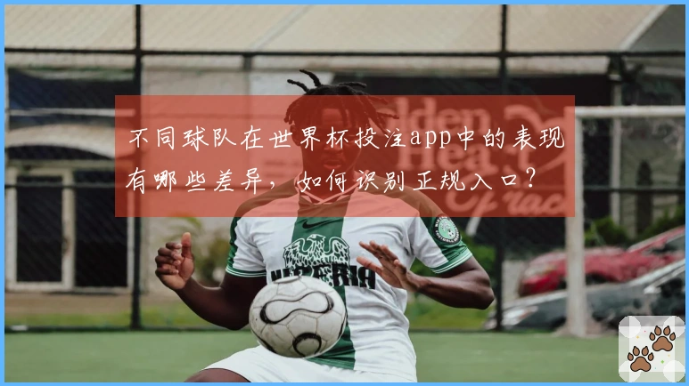 不同球队在世界杯投注app中的表现有哪些差异，如何识别正规入口？