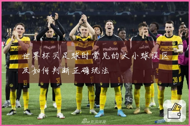 世界杯买足球时常见的大小球误区及如何判断正确玩法