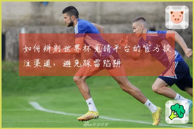 如何辨别世界杯竞猜平台的官方投注渠道，避免踩雷陷阱