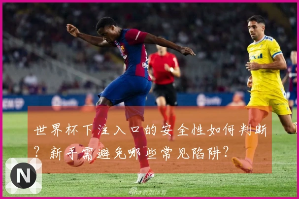 世界杯下注入口的安全性如何判断？新手需避免哪些常见陷阱？