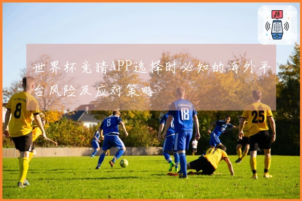 世界杯竞猜APP选择时必知的海外平台风险及应对策略