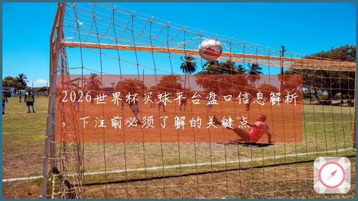 2026世界杯买球平台盘口信息解析，下注前必须了解的关键点