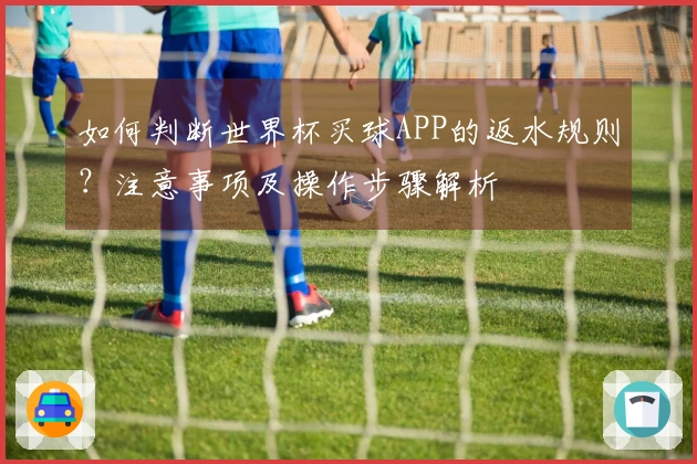 如何判断世界杯买球APP的返水规则？注意事项及操作步骤解析