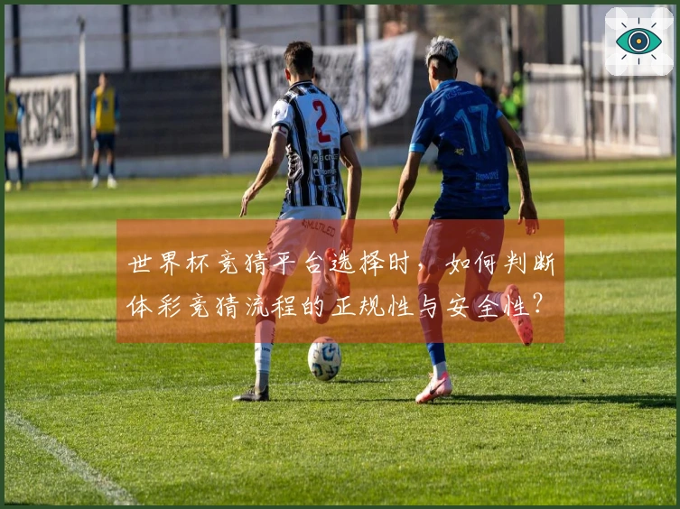 世界杯竞猜平台选择时，如何判断体彩竞猜流程的正规性与安全性？