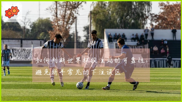 如何判断世界杯投注站的可靠性，避免新手常见的下注误区