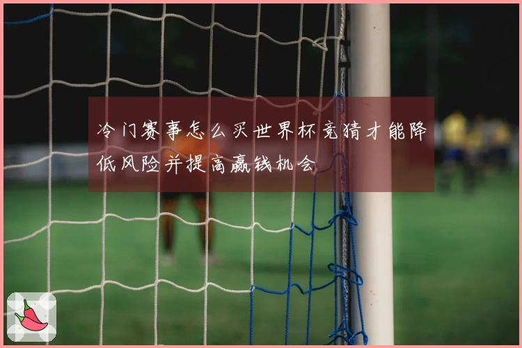 冷门赛事怎么买世界杯竞猜才能降低风险并提高赢钱机会