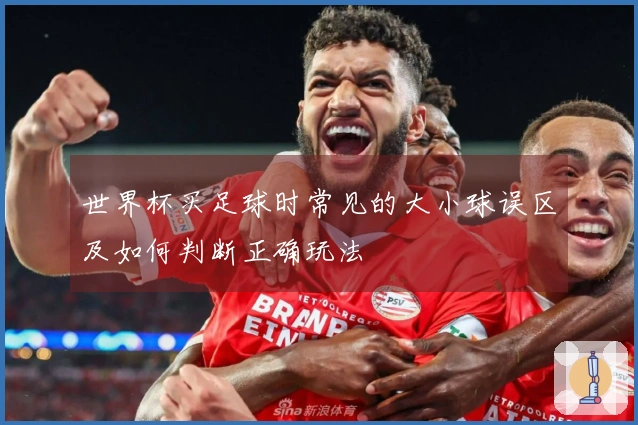 世界杯买足球时常见的大小球误区及如何判断正确玩法