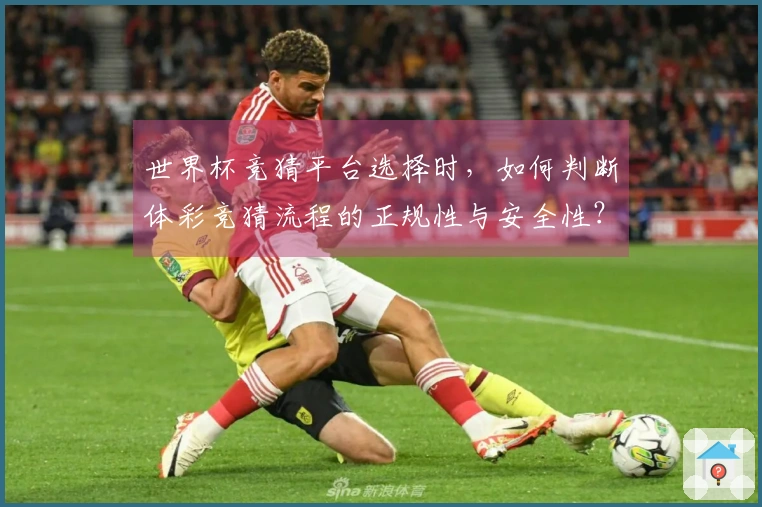 世界杯竞猜平台选择时，如何判断体彩竞猜流程的正规性与安全性？