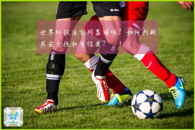 世界杯投注官网靠谱吗？如何判断其安全性和可信度？