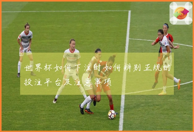 世界杯如何下注时如何辨别正规的投注平台及注意事项
