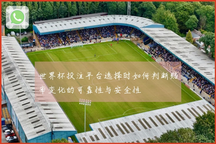 世界杯投注平台选择时如何判断赔率变化的可靠性与安全性