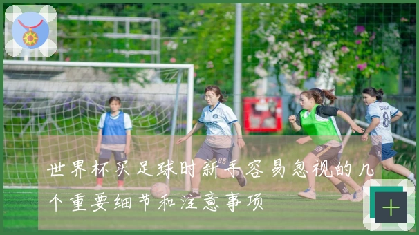 世界杯买足球时新手容易忽视的几个重要细节和注意事项